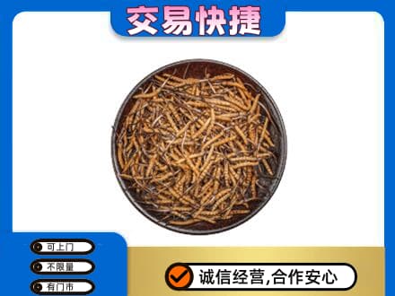 嘉兴秀洲区回收散虫草